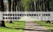 中央转移支付首破十万亿钱去哪儿了（中央转移支付项目概况）