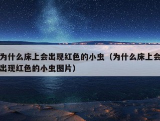 为什么床上会出现红色的小虫（为什么床上会出现红色的小虫图片）