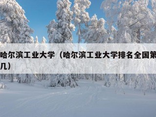 哈尔滨工业大学（哈尔滨工业大学排名全国第几）