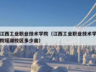 江西工业职业技术学院（江西工业职业技术学院瑶湖校区多少亩）