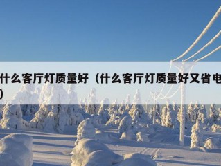 什么客厅灯质量好（什么客厅灯质量好又省电）