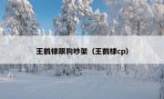 王鹤棣跟狗吵架（王鹤棣cp）