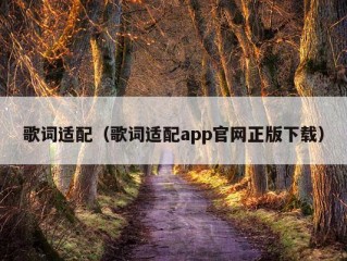 歌词适配（歌词适配app官网正版下载）