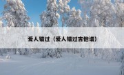 爱人错过（爱人错过吉他谱）