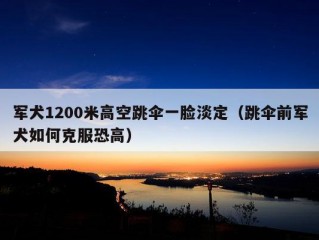 军犬1200米高空跳伞一脸淡定（跳伞前军犬如何克服恐高）