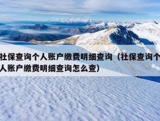 社保查询个人账户缴费明细查询（社保查询个人账户缴费明细查询怎么查）