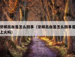 牙龈出血是怎么回事（牙龈出血是怎么回事是上火吗）