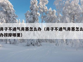 鼻子不通气鼻塞怎么办（鼻子不通气鼻塞怎么办按摩哪里）