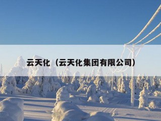 云天化（云天化集团有限公司）