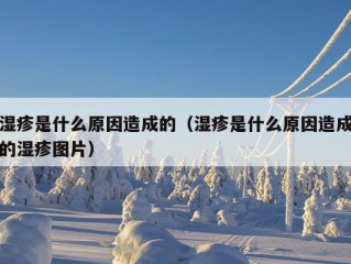 湿疹是什么原因造成的（湿疹是什么原因造成的湿疹图片）