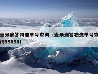 壹米滴答物流单号查询（壹米滴答物流单号查询95058）