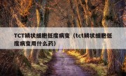 TCT鳞状细胞低度病变（tct鳞状细胞低度病变用什么药）