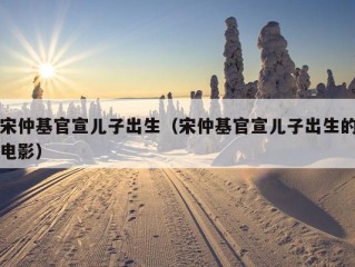 宋仲基官宣儿子出生（宋仲基官宣儿子出生的电影）