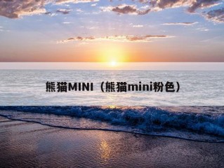 熊猫MINI（熊猫mini粉色）