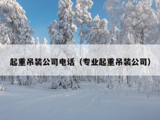 起重吊装公司电话（专业起重吊装公司）