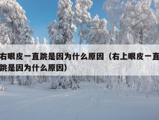 右眼皮一直跳是因为什么原因（右上眼皮一直跳是因为什么原因）