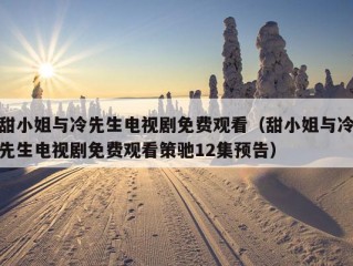 甜小姐与冷先生电视剧免费观看（甜小姐与冷先生电视剧免费观看策驰12集预告）