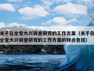 关于在全党大兴调查研究的工作方案（关于在全党大兴调查研究的工作方案的特点包括）