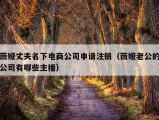 薇娅丈夫名下电商公司申请注销（薇娅老公的公司有哪些主播）