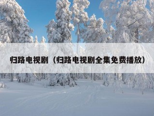 归路电视剧（归路电视剧全集免费播放）