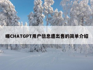 曝CHATGPT用户信息遭出售的简单介绍