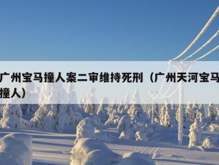 广州宝马撞人案二审维持死刑（广州天河宝马撞人）