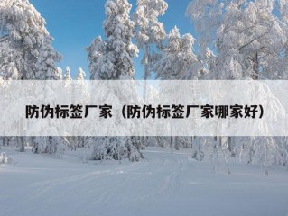 防伪标签厂家（防伪标签厂家哪家好）