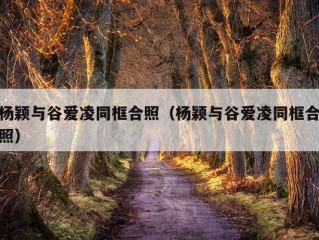 杨颖与谷爱凌同框合照（杨颖与谷爱凌同框合照）