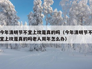 今年清明节不宜上坟是真的吗（今年清明节不宜上坟是真的吗老人周年怎么办）