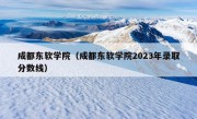 成都东软学院（成都东软学院2023年录取分数线）