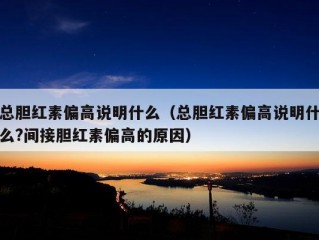 总胆红素偏高说明什么（总胆红素偏高说明什么?间接胆红素偏高的原因）