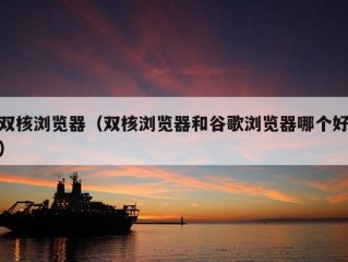 双核浏览器（双核浏览器和谷歌浏览器哪个好）