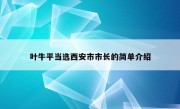 叶牛平当选西安市市长的简单介绍