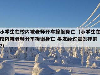 小学生在校内被老师开车撞倒身亡（小学生在校内被老师开车撞倒身亡 事发经过是怎样的?）