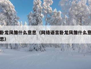 卧龙凤雏什么意思（网络语言卧龙凤雏什么意思）