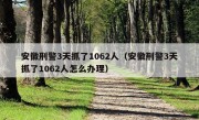 安徽刑警3天抓了1062人（安徽刑警3天抓了1062人怎么办理）