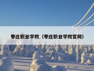 枣庄职业学院（枣庄职业学院官网）