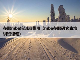 在职mba培训班费用（mba在职研究生培训班课程）