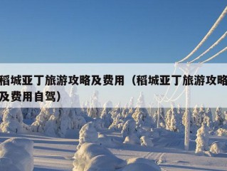 稻城亚丁旅游攻略及费用（稻城亚丁旅游攻略及费用自驾）