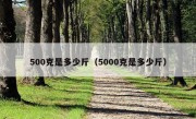 500克是多少斤（5000克是多少斤）