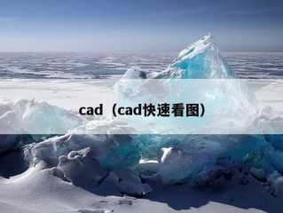 cad（cad快速看图）