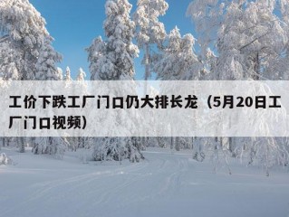 工价下跌工厂门口仍大排长龙（5月20日工厂门口视频）