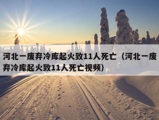 河北一废弃冷库起火致11人死亡（河北一废弃冷库起火致11人死亡视频）