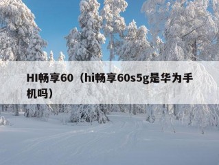 HI畅享60（hi畅享60s5g是华为手机吗）