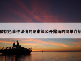 被桃色事件误伤的副市长公开露面的简单介绍