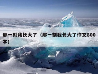 那一刻我长大了（那一刻我长大了作文800字）