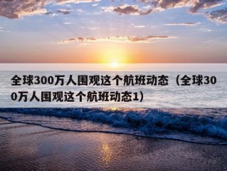 全球300万人围观这个航班动态（全球300万人围观这个航班动态1）