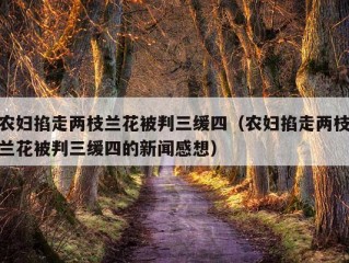 农妇掐走两枝兰花被判三缓四（农妇掐走两枝兰花被判三缓四的新闻感想）