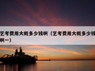 艺考费用大概多少钱啊（艺考费用大概多少钱啊一）