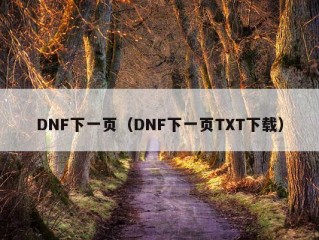 DNF下一页（DNF下一页TXT下载）